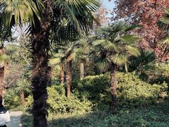 -合肥野生动物园