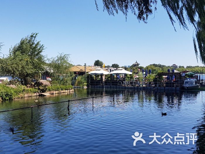 美食岛图片 - 第6张