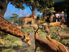 -国家自然博物馆