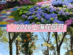 -上海鲜花港