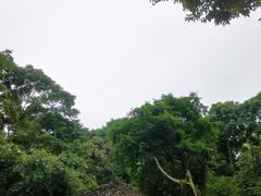 -青城道汤池
