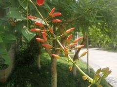 -成飞公园