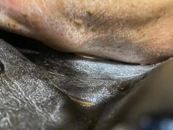 -康乃馨·馨悦佳人(鹭江店)