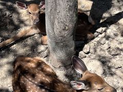 -水上乐园·欢乐世界