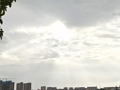 -五缘湾湿地公园