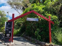 -怀托摩萤火虫洞