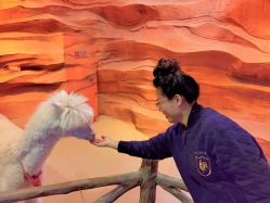 -酷嗒动物文化乐园(cutezoo西溪乐天城店)