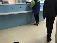 -北京观赏动物医院·24小时大型综合·猫专科·异宠专科