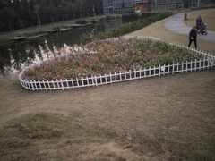 -前小桔亲子创意农场·草莓采摘·露营烧烤