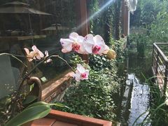 -谷咖啡·鲜花绿植花园餐厅