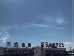 -张金涛熏鸡(x560店)