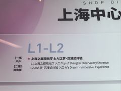 -上海中心大厦