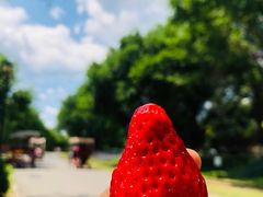 -永定河休闲森林公园