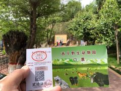 -青藏高原野生动物园