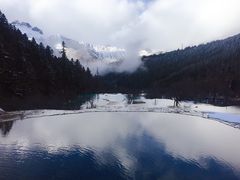 -黄龙山原始森林景区