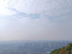 -杭州半山国家森林公园