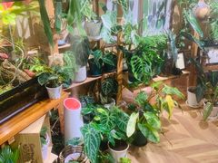 -Rabbit Cafe私房西餐甜点咖啡(栖霞路店)