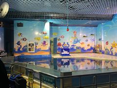 -太平洋海底世界