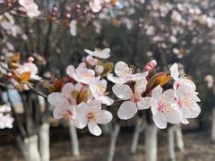 -祥源·阜阳生态乐园