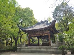 -汇龙潭