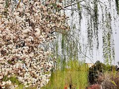 -海棠花溪(元大都城垣遗址公园)