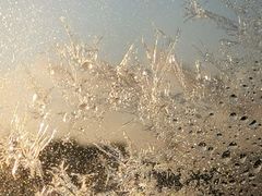 -金水鹤温泉国际酒店