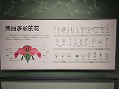 -四川大学博物馆