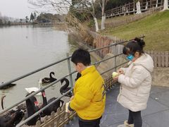 -艾溪湖湿地公园