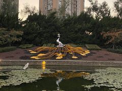 -中山公园