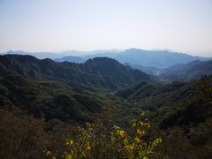 -大岭沟猕猴桃谷风景区