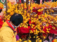-越秀西湖花市(广州城市广场花卉店)