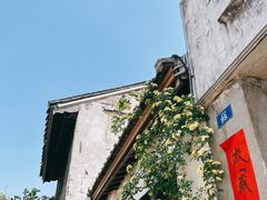 -青果巷历史文化街区