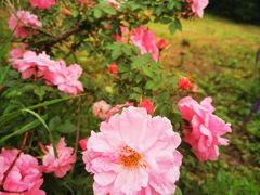 -长春公园(普阳街道)