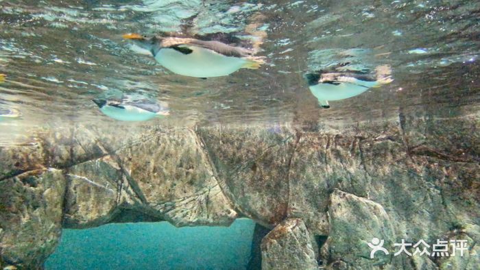 成都浩海立方海洋公园图片