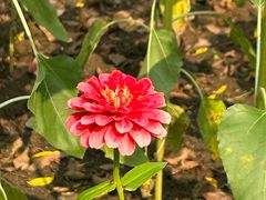 -玄武湖景区-情侣园游乐场