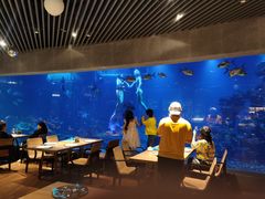 -海棠湾洲际-涛·海底餐厅·美人鱼·自助餐·海底隧道