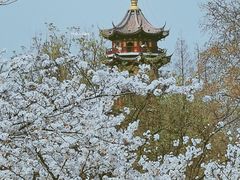 -鸡鸣寺