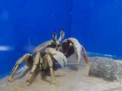-海合安武汉极地海洋公园