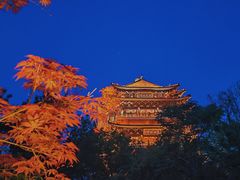 -鹊华居·地道鲁菜·海鲜·融合味(大明湖店)