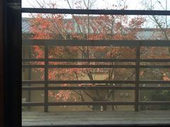 -京湯どうふ喜さ起