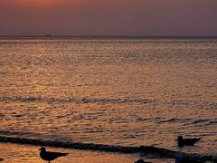 -威海国际海水浴场旅游区