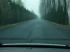 -黄海国家森林公园