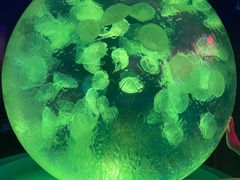 -正佳极地海洋世界