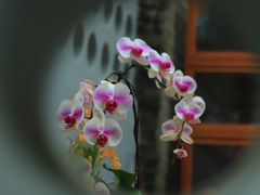 -三溪村