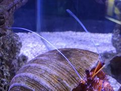 -太平洋海底世界