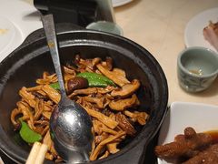 -陶陶居酒家(SM二期购物广场店)