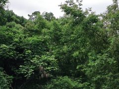 -阿哈湖国家湿地公园