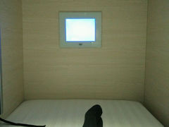 android_upload_pic-栖游青年旅舍(华强北地铁站店)