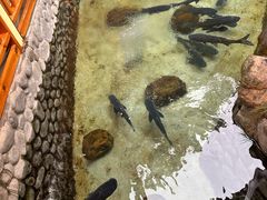 -耕渔小院·湖南鱼鲜(望城店)