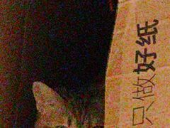 -H立方实景剧情密室(天河旗舰店)